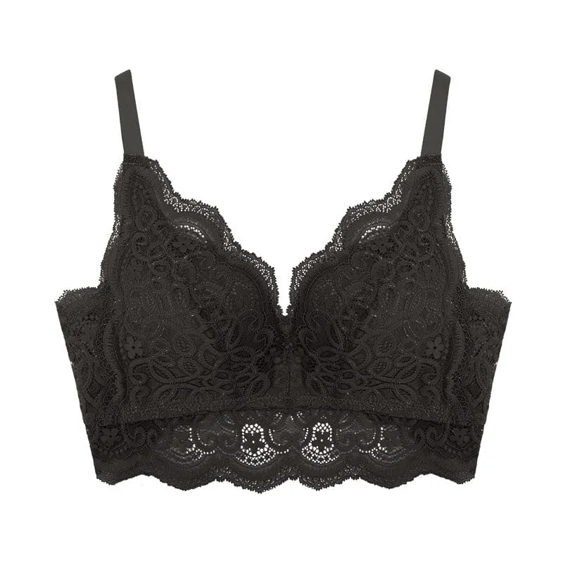 Contrast Lace Scallop Trim Push Up Bra