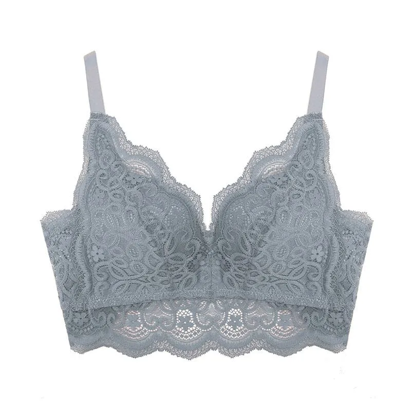 Contrast Lace Scallop Trim Push Up Bra