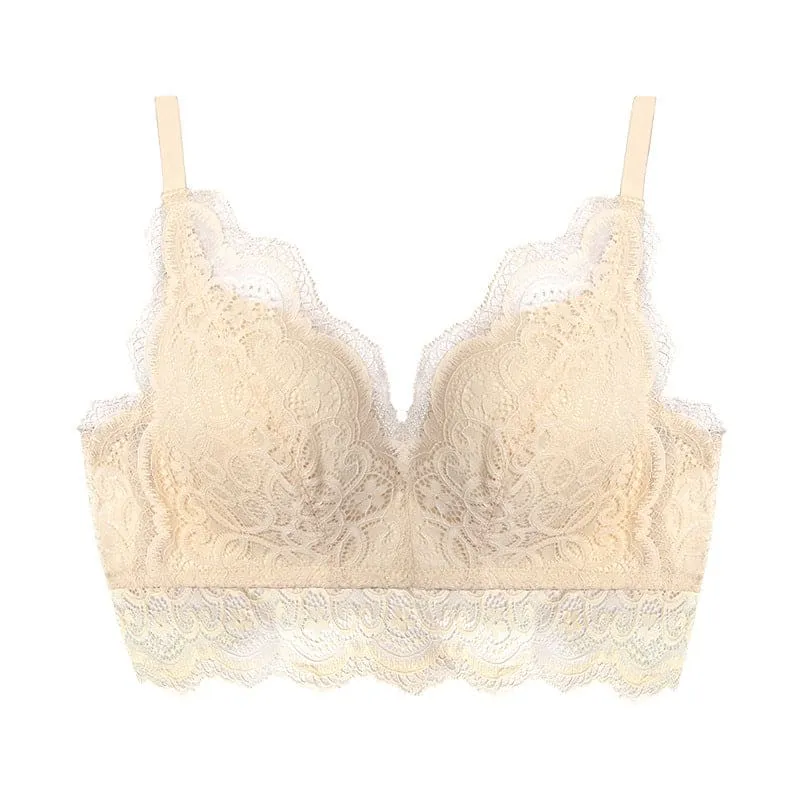 Contrast Lace Scallop Trim Push Up Bra