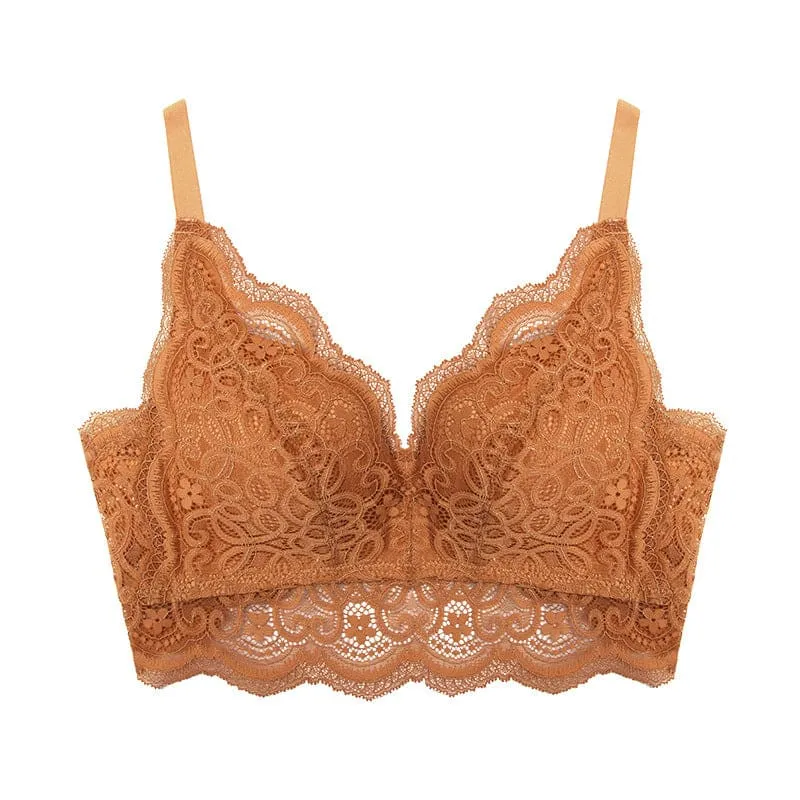 Contrast Lace Scallop Trim Push Up Bra